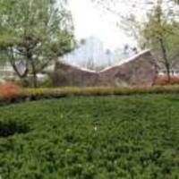 2ec8f7d3947eef35c10a3f13f1d1733a71cff1b6