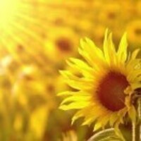 8d956ec89c6b6c7e70cc511cd94b56eba619d28b