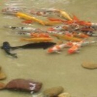 7a5e4e2d3e53357ec088425dcf0d89bf65eb0206