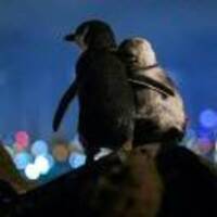 3ef3e7983583426f4d53183387d64e50799de17e