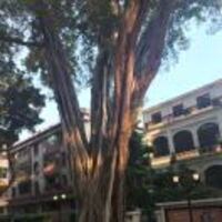 2b34de48f4a7e2b1c01bb9d6c1273ca4e636d065