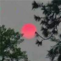 C9dbab46241ebcee983421fd57f2462d8c5f2a4b