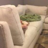 F2734ee9a977e63b69aac7718c2238b31e0a65a7