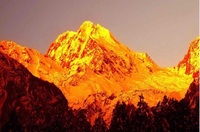 4468b74c5ebf42710354c329413c5e7e39b19c69