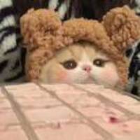 99e9c31f1588878fad5bc044c712f2a16ca61ae3