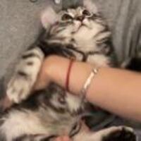 2435917692619fedd265d9eb0774b28c5d51ae92