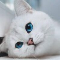 Ea2ca6afc8a7ececf447fbcb9691f57d4a859bac