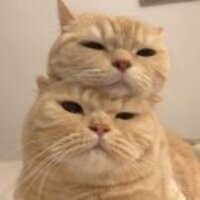 9caa6f3a82e8ec36386f3fe2746a6c6bfaf3a51a