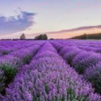 D6497e4c2741759f6bb66760ba4011c568e54565