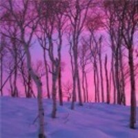 7941a1720fdd73af3189de7b3d7c94e1574dcfb6