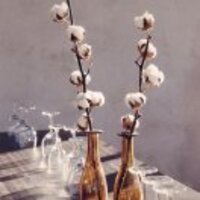 14d8c4f86133abeae02e0d42c51311a45b49bc9d