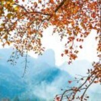 298ddac71020619cd89559b7693a620c73848ebc