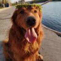 Bf9c019fa3c8a38a2ceca14aebfd18896716cb32