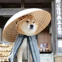 14fbc55eb6db96f1ca3960a249bdd376aaabd4e1