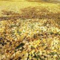 Ecb6cd904f8c2ecb6f5bd0c6559a53b5576ba26b