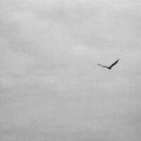 97d0f2954763c8d35ffcf82c9cb9022278282bf2