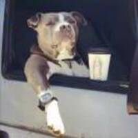 20aca812f508dec3a036df5b5c93ef82abcd2d37