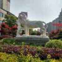 Cc62746ed8996b6e391aac47d86d73507ac64191