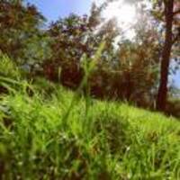 7d7f7f68098cf0917518e5e0055ca719c477333e