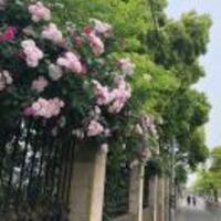 A60f6c88b683b50511aeee9b3237c5a7d8904b2e