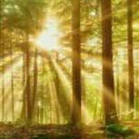 9bd02886e7d2adbff171d9f979e0ae008b258de4