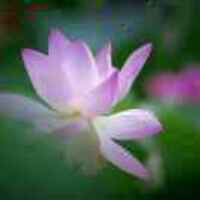 62fc1c3a1423459a79825addf396315011a45f8b