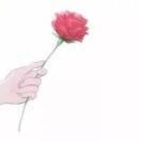 Ce9114ea6ccc44d316d1eb4bf6de86293ed2548a