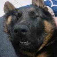 D73c6e65567993c63115aa2d5f4ef8e0c2000694