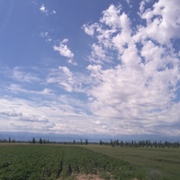 8b55a8961c08e1ca1c9d512f03fc9afef04c986b