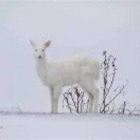 6407ed478eb3e715512d73d9a1db79e086bad6c5