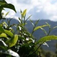 Eb813fd001decac5a7d24a41cfd147ab67c305d2