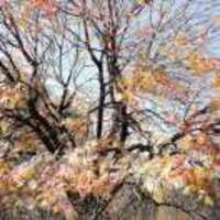 Da057e7ddf5023a5c273a9b69bd5146b05b6af90