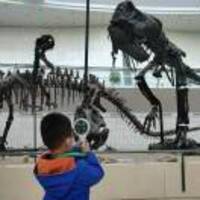 F623587f0427ff022b3d8dc323a29eddbc5c01c4