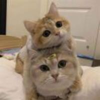 306c7e0703f271b2a3536778389d0d25dc990698