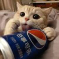 Efcc9760f5b715c0e237d2ca42ef5a582e27da91