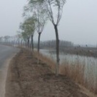 71a4fcd607f2b8cf90e9a0330c376e46a7529821