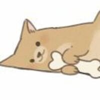 B46f33823c34c357279ffe29bbfad7da3ea077e2