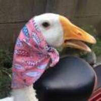 39cd46f61bd42c91776e7f42641004ed45b2e9a7