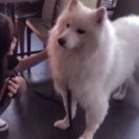 B9f4b0c730f4e91e6e817fa3b51fe21e45a6e433