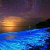 12603ee48914232825c40af47716ac0bac685222