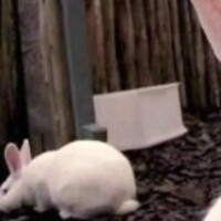 559dcb8010fb47827dbb8f000e5adeeae8b85929