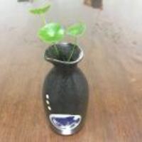 37a915d19a3378e05f69a9bd4e2c4161a5d38c4e