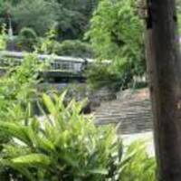 18f391ae2ff3f7879ff3254456b7f6578f5a9585