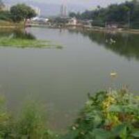 1db87cdc77fd0f29ec67e35187e3b5ce0f9804f5