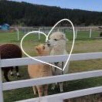 F6c8ea99e2e15f4ed2819c7fd7e109e2095c868c