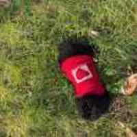 B0dd08562c970cc8e2bed61b5bb4d4bf377c60e5