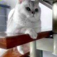 4572fd71093debc80c1271b6376ad9d50f3efd2b