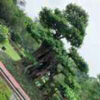 7b0cbfa166718490cc4d09a80d243550f5948044