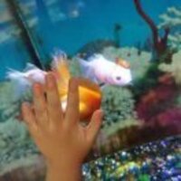 2af51d73d82c01d61a994859928840b71997923f