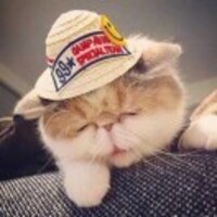 1b3076cd4d365bc894d6e737a449f6a0289aef79